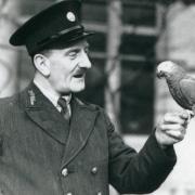 Zoo keeper Alden in 1935 with an African grey parrot