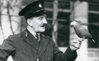 Zoo keeper Alden in 1935 with an African grey parrot