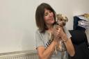 Founder Ira Moss with Charley, a Yorkshire Terrier, an All Dogs Matter rescue