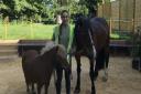 Equine therapist Lotte Carlebach with her ponies