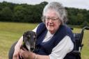 Johanna helped save more than 5,000 dogs