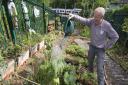 Howard Williams of The Friends of Ally Pally station watering The Bedford Rose Garden