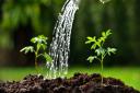 Organisations including the National Trust, the RHS and Waterwise have long been promoting water-saving