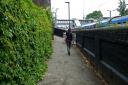 A woman was sexually attacked as she walked along the Black path on Saturday afternoon