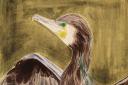 Cormorant is on show at Lauderdale House from September 28 until October 24