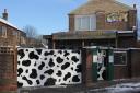 Kentish Town Farm is offering its free 'warm welcome' for people to come out of their cold homes