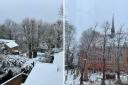 Snow covered gardens and rooftops in Highgate (N6) this morning (March 8)