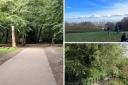 Highgate Wood, Hampstead Heath and Alexandra Road Park are among the Green Flag award winners this year