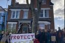 A previous protest next to the condemned plane tree in Oakfield Road