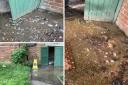 Raw sewage has been spotted around the block of flats