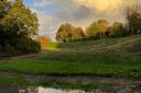 Constable's Branch Hill Pond on Hampstead Heath to be recreated after 132 years