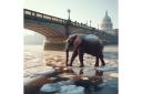 An episode of Dr Who, which recreated the Frost Fair of 1814 when an elephant walked across the Thames, will be screened as part of a revived festival on Bankside.