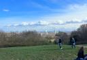 Reviewers loved the "oasis" Hampstead Heath provides