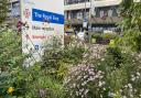 Linda Grove's team previously planted flowers around the Belsize Park hospital
