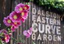 Dalston Eastern Curve Garden is hosting a Women's Fayre on Sunday