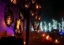The Fire Garden is part of the Christmas at Kenwood light trail