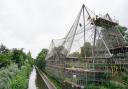 Experts abseil down Snowdon Aviary at ZSL London Zoo, in Regent's Park, on July 30, 2020 to remove steel mesh panels that wrap the structure, which is to become a new home for a troop of Eastern black and white colobus monkeys.