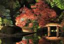 A Japanese garden at night. PA Photo/thinkstockphotos