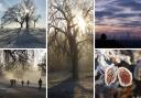Ham&High reader Alan Fox took these atmospheric photographs of winter mornings on Hampstead Heath