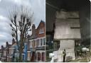 A homeowner has lost his case against Haringey Council regarding the future of a tree