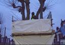 Haringey Council spent £92,000 occupying a tree days before an injunction hearing to stop activists being near it