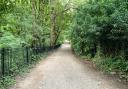 Path leading on from Millfield Road, on Hampstead Heath, where woman was approached by a man with a knife