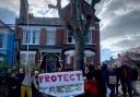 Haringey Tree Protectors at a previous demonstration to save the tree in Oakfield Road, Stroud