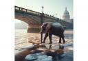 An episode of Dr Who, which recreated the Frost Fair of 1814 when an elephant walked across the Thames, will be screened as part of a revived festival on Bankside.
