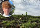 Access to Primrose Hill on New Year's Eve will be reviewed after the fatal stabbing of 16-year-old Harry Pitman (inset)