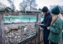 London Zoo is offering the chance to become a penguin keeper for a morning.
