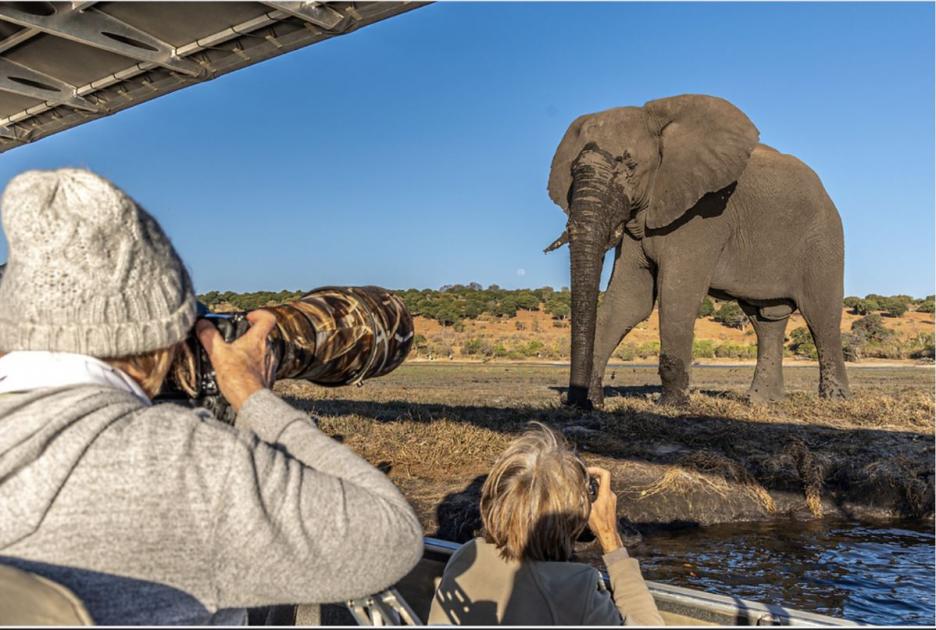 'Shoot photographs to thrill': conservationist backs hunting trophy ban