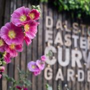 Dalston Eastern Curve Garden is hosting a Women's Fayre on Sunday
