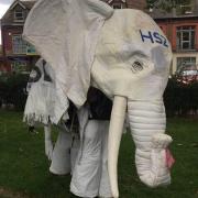 Nelly the elephant was arrested after appearing at a HS2 roadshow