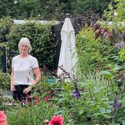 Pauline Hamilton’s garden at 9 Churston Gardens