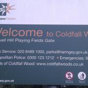 Coldfall Wood, Muswell Hill. Picture: Mark Hillary (Flickr, CC by 2.0)