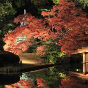 A Japanese garden at night. PA Photo/thinkstockphotos