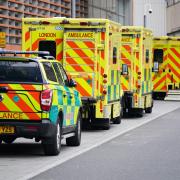 Delays at the Royal Free and Whittington hospital trusts meant more than 2,000 ambulance hours were wasted in seven weeks, NHS England has revealed