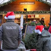 You can choose your tree at one of Pines and Needles' pop-up outdoor stores across London