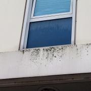 The window at Marlene's flat where the mould is creepy in and the 'walls are always wet'