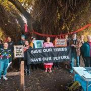 Haringey Tree Protectors are to hold a memorial procession through Parkland Walk where up to 20 trees will be felled