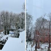 Snow covered gardens and rooftops in Highgate (N6) this morning (March 8)