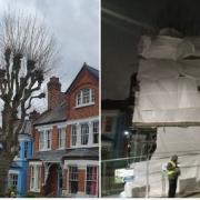 A homeowner has lost his case against Haringey Council regarding the future of a tree