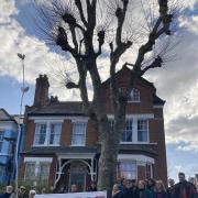 Tree protectors around a threatened tree on April 2. If seen near it before April 17 they will face arrest after Haringey Council was awarded an injunction banning them from protesting