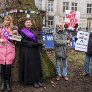 Campaigners fighting to save the trees around Euston five years ago, they lost and the tree pictured was chopped down