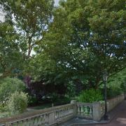 Chester Terrace residents have opposed plans to remove 20 trees from neighbouring gardens