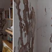 Raphaela Lim, who lives in Hillcrest Estate, said she fears damp and mould could damage her daughter’s health