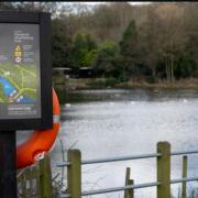 Dive into the fresh water of Hampstead's mixed pond