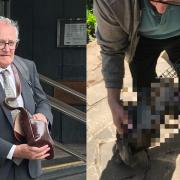 Richard Rosen is on trial accused of causing unnecessary suffering to a protected animal