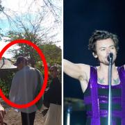 A screengrab from @skintension (left) showing Harry Styles in Hampstead Heath