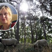 Stefania enjoyed seeing sheep reintroduced to graze on the Heath (Image: PA)